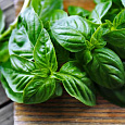 Базилик зеленый Гвоздичный