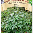 Шалфей Испанский